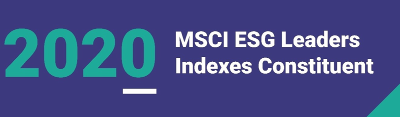 MSCI Constituent MSCI Global SRI Indexes